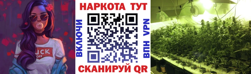 Виды наркоты Холмск omg зеркало  APVP  ГЕРОИН  COCAIN  Гашиш  Меф мяу мяу  Галлюциногенные грибы 