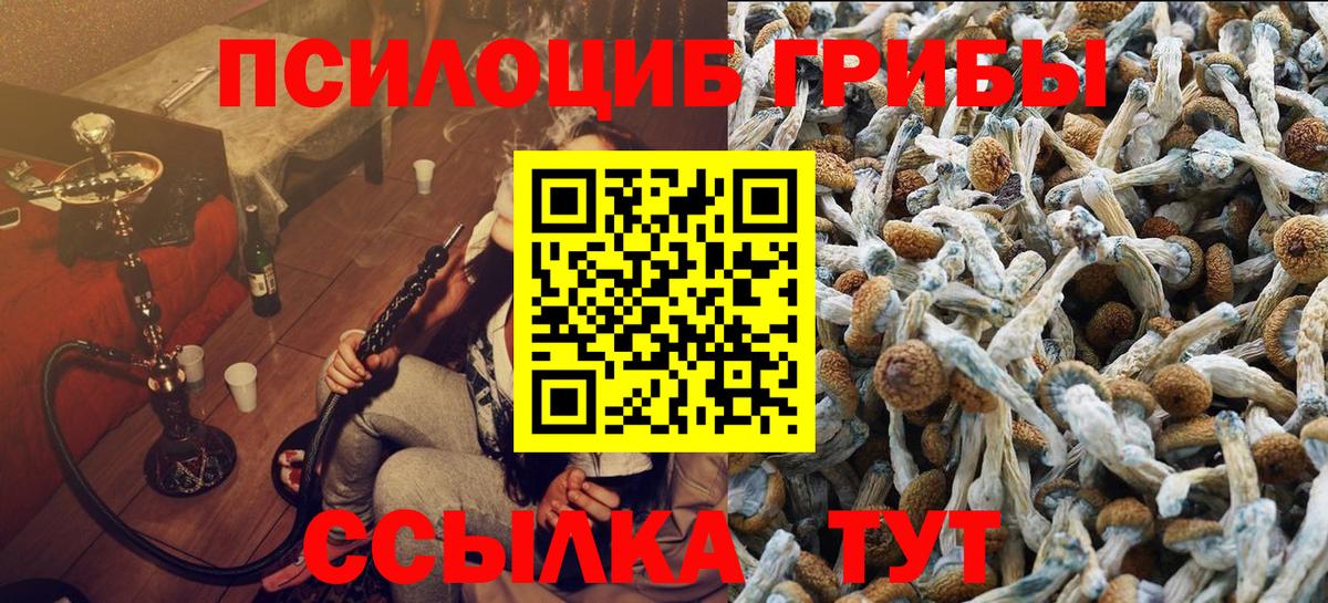 Холмск  Галлюциногенные грибы Magic Shrooms  Вход с VPN 